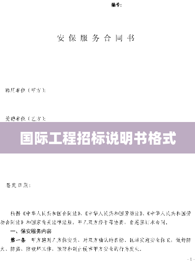 国际工程招标说明书格式