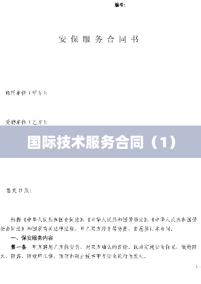 国际技术服务合同（1）
