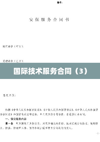 国际技术服务合同（3）