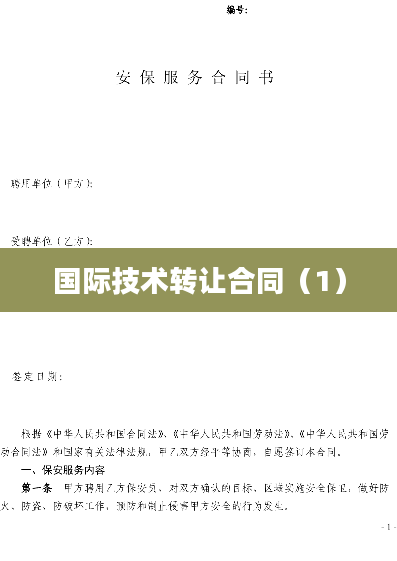 国际技术转让合同（1）