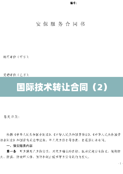国际技术转让合同（2）