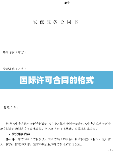 国际许可合同的格式
