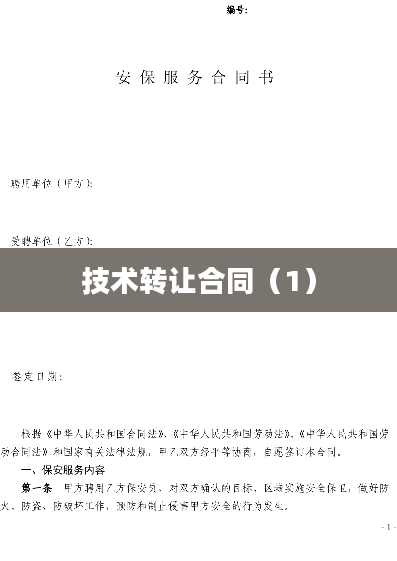 技术转让合同（1）