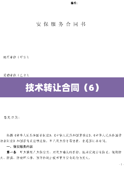 技术转让合同（6）