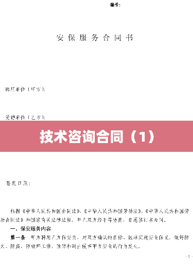 技术咨询合同（1）