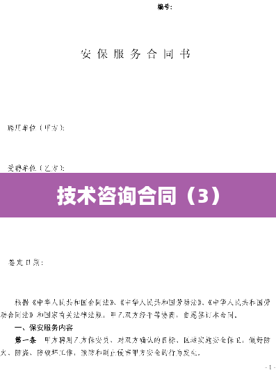 技术咨询合同（3）