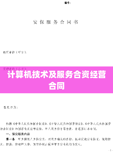计算机技术及服务合资经营合同