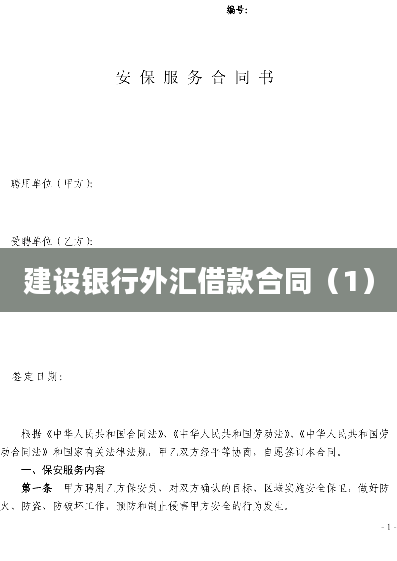 建设银行外汇借款合同（1）