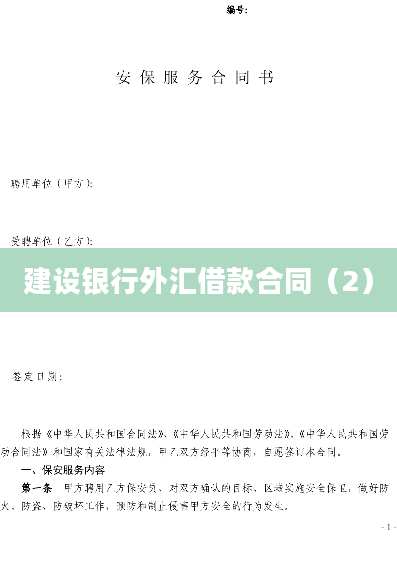 建设银行外汇借款合同（2）