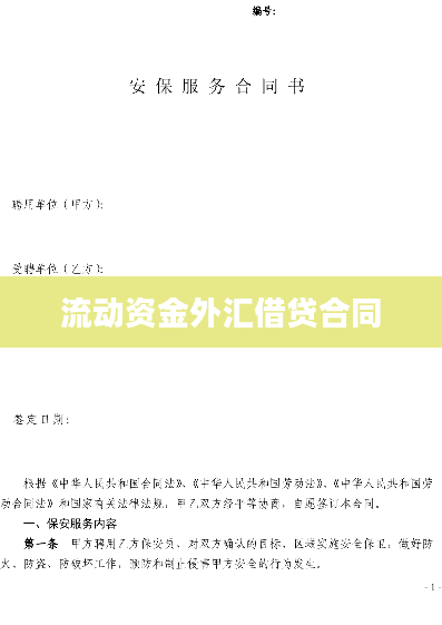 流动资金外汇借贷合同