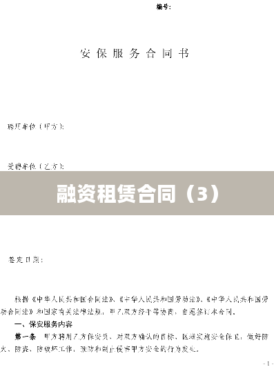 融资租赁合同（3）