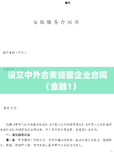 设立中外合资经营企业合同（金融1）