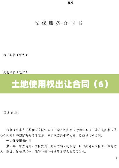 土地使用权出让合同（6）