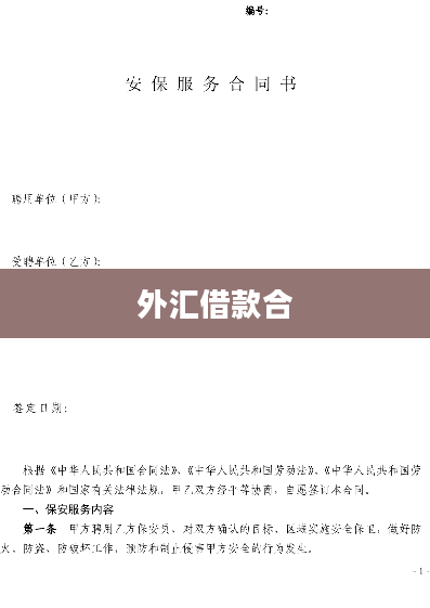 外汇借款合
