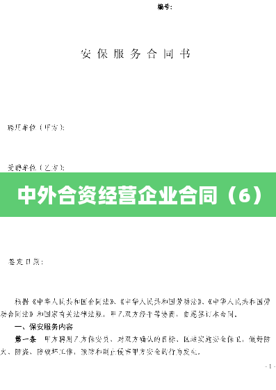 中外合资经营企业合同（6）