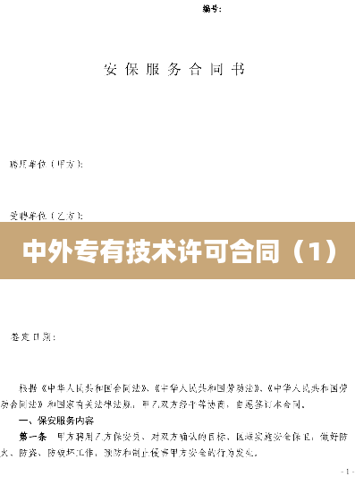 中外专有技术许可合同（1）