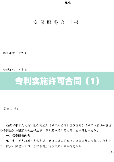 专利实施许可合同（1）