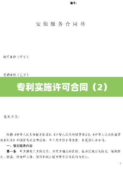 专利实施许可合同（2）