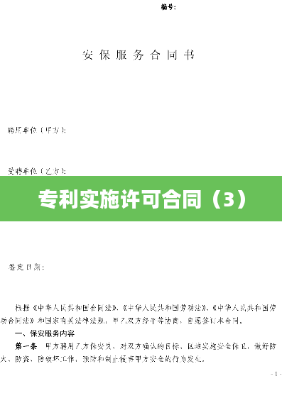 专利实施许可合同（3）