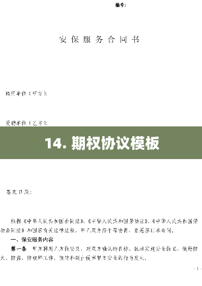 14. 期权协议模板