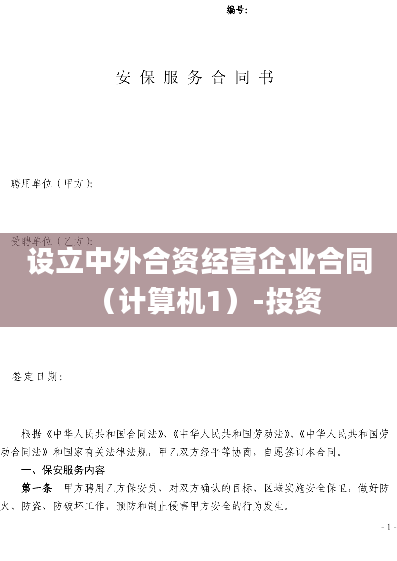 设立中外合资经营企业合同（计算机1）-投资