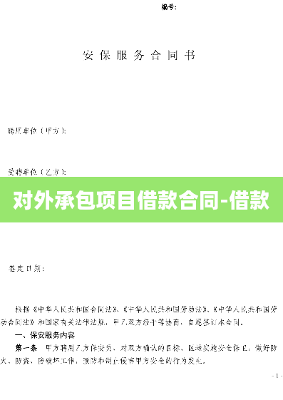 对外承包项目借款合同-借款