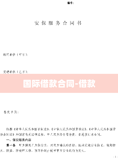 国际借款合同-借款