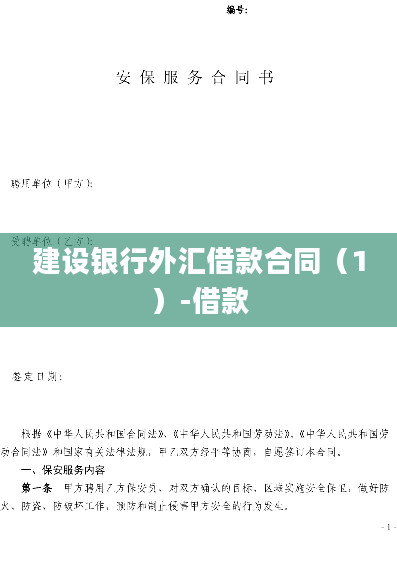 建设银行外汇借款合同（1）-借款