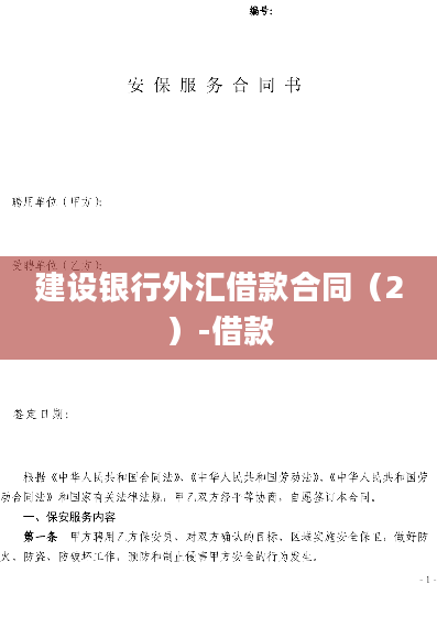 建设银行外汇借款合同（2）-借款