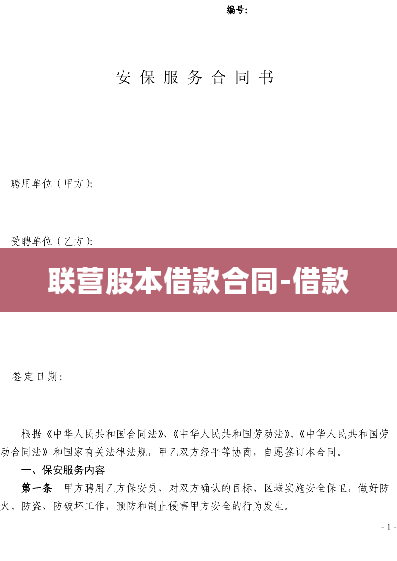 联营股本借款合同-借款