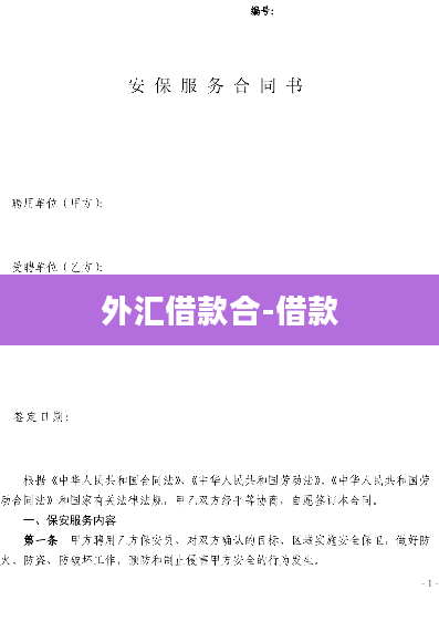 外汇借款合-借款