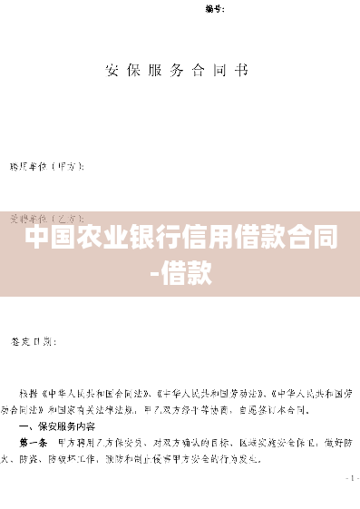 中国农业银行信用借款合同-借款