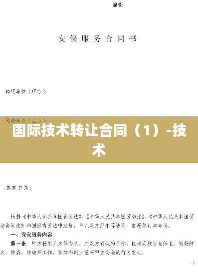 国际技术转让合同（1）-技术