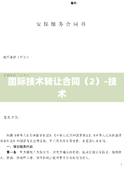 国际技术转让合同（2）-技术
