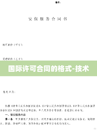 国际许可合同的格式-技术