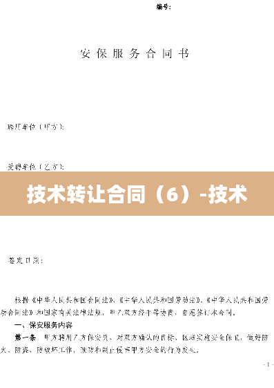 技术转让合同（6）-技术
