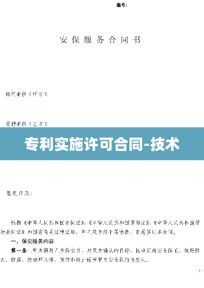 专利实施许可合同-技术