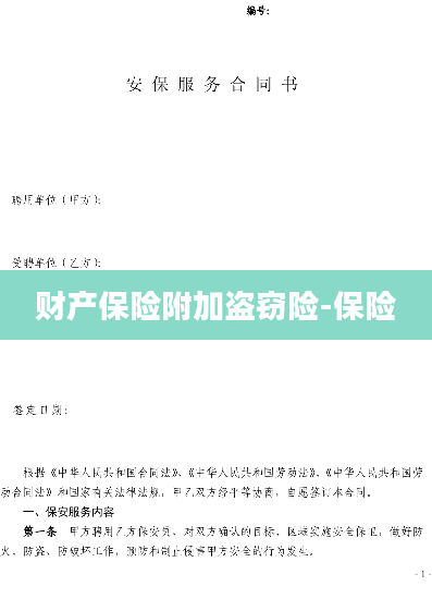 财产保险附加盗窃险-保险