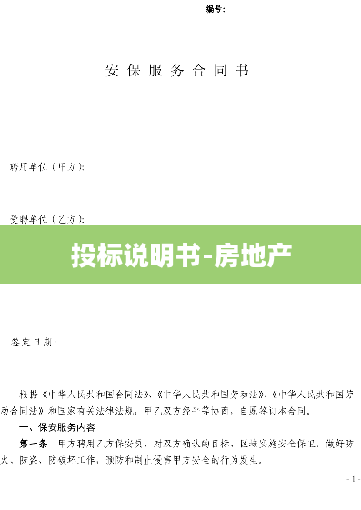 投标说明书-房地产