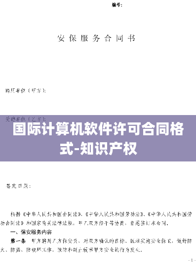 国际计算机软件许可合同格式-知识产权