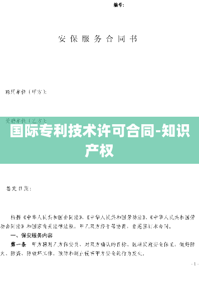 国际专利技术许可合同-知识产权