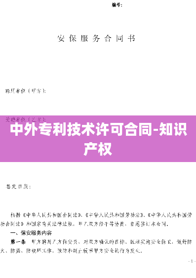 中外专利技术许可合同-知识产权