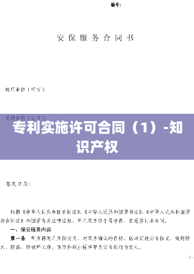 专利实施许可合同（1）-知识产权