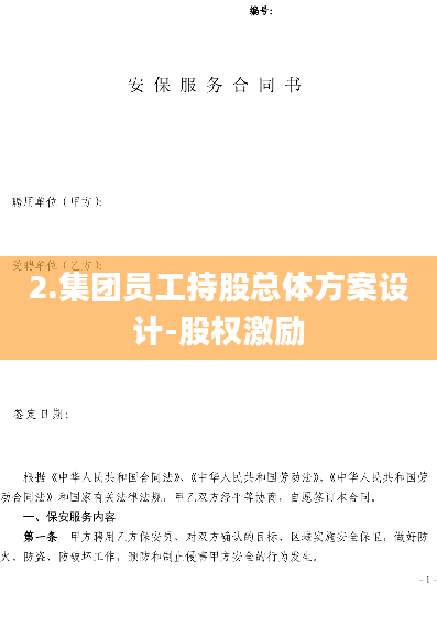 2.集团员工持股总体方案设计-股权激励