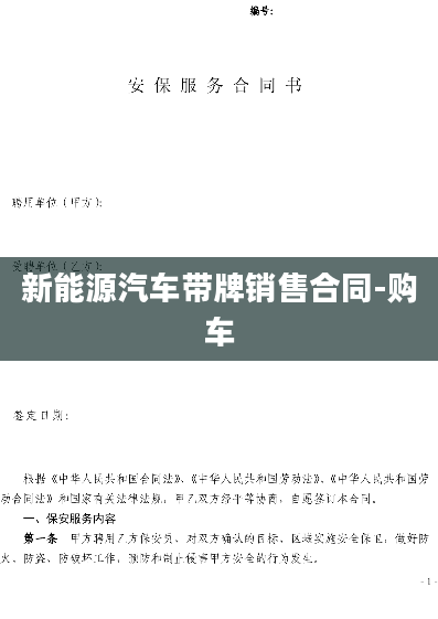 新能源汽车带牌销售合同-购车