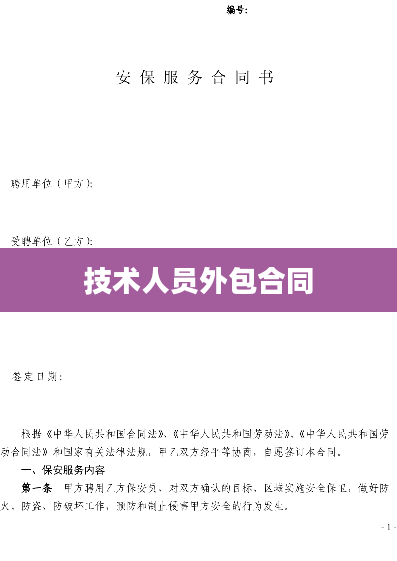 技术人员外包合同