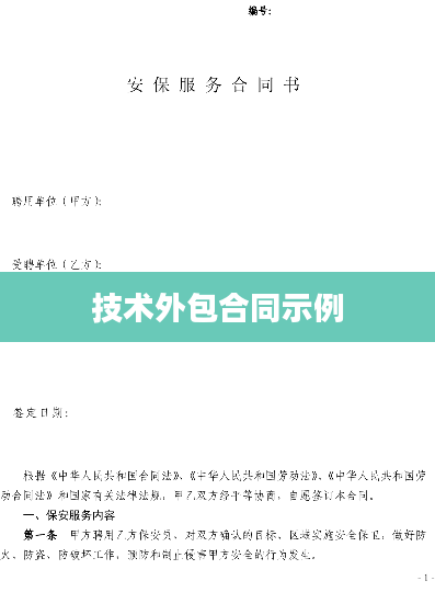 技术外包合同示例