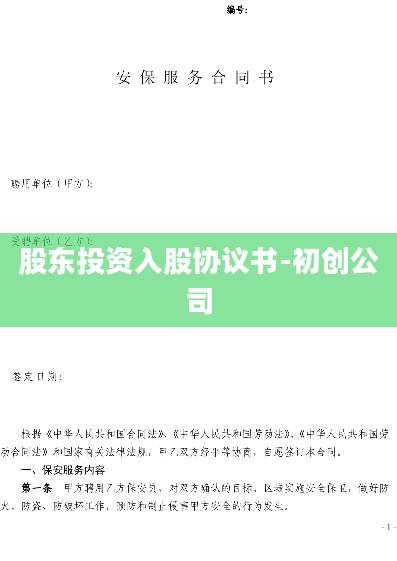 股东投资入股协议书-初创公司