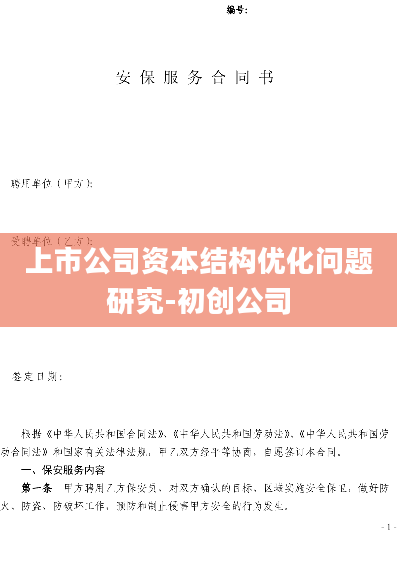 上市公司资本结构优化问题研究-初创公司