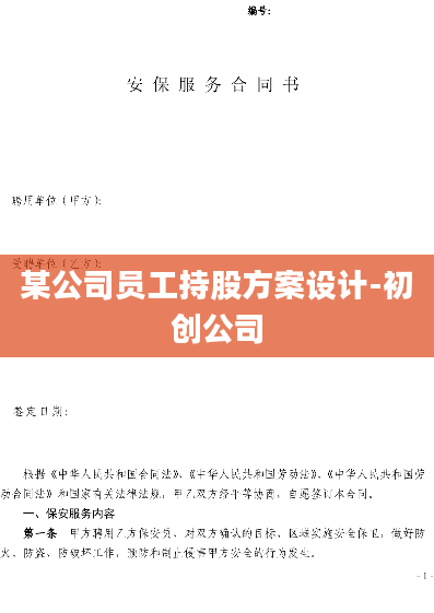 某公司员工持股方案设计-初创公司